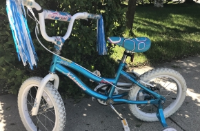 Bike with training wheels