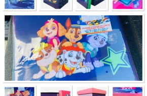 NEW Paw Patrol Skye 15″ Ottoman 3 Available sold separately