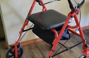 Drive 4 Wheels walker